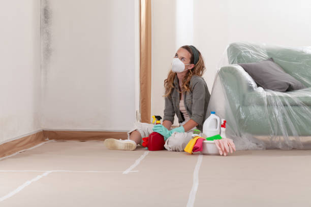 Reliable Mold Remediation contractor in Williamston, MI by 24 Hour Mold Removal